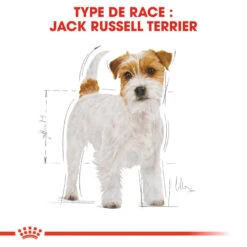 Royal Canin - Croquettes Jack Russell Adult Pour Chiens - 1,5Kg -Magasin De Fournitures Pour Chiens 74442