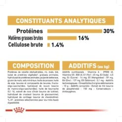 Royal Canin - Croquettes Jack Russell Adult Pour Chiens - 1,5Kg -Magasin De Fournitures Pour Chiens 74446