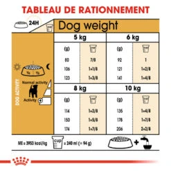 Royal Canin - Croquettes Jack Russell Adult Pour Chiens - 1,5Kg -Magasin De Fournitures Pour Chiens 74447