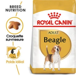 Royal Canin - Croquettes Beagle Adult Pour Chien - 12Kg