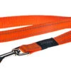 Rogz - Laisse Utility Orange Pour Chiens - 140x1,6cm