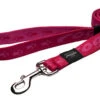 Rogz - Laisse Simple Alpinist Rose Pour Chiens - XL -Magasin De Fournitures Pour Chiens 74570