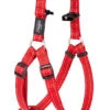 Rogz - Harnais Utility Rouge Pour Chiens - 32x1,6cm 2 Rogz - Harnais Utility Rouge Pour Chiens - 32x1,6cm -Magasin De Fournitures Pour Chiens 74587