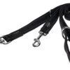 Rogz - Laisse Utility Multiple Noir Pour Chiens - 180x2,5cm 2 Rogz - Laisse Utility Multiple Noir Pour Chiens - 180x2,5cm -Magasin De Fournitures Pour Chiens 74608