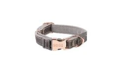 Rogz - Collier Urban Taupe Pour Chiens - XS