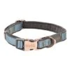 Rogz - Collier Urban Turquoise Pour Chiens - S -Magasin De Fournitures Pour Chiens 75787