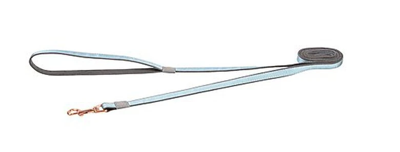 Rogz - Laisse Urban Turquoise Pour Chiens - S 3 Rogz - Laisse Urban Turquoise Pour Chiens - S