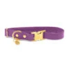 Pop Dog - Collier Précieux Violet Pour Chien - M