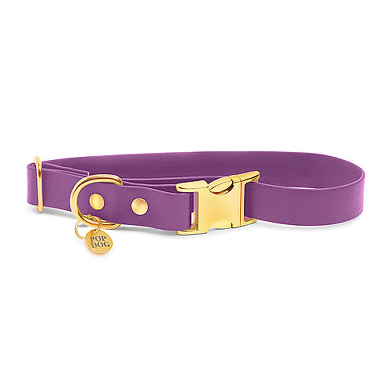 Pop Dog - Collier Précieux Violet Pour Chien - M 3 Pop Dog - Collier Précieux Violet Pour Chien - M