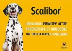Scalibor - Collier Antiparasitaire Pour Chien 9 Scalibor - Collier Antiparasitaire Pour Chien -Magasin De Fournitures Pour Chiens 76363