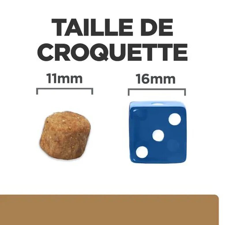 Hill's - Croquettes Prescription Diet J/D Mobility Pour Chiens - 12Kg 5 Hill's - Croquettes Prescription Diet J/D Mobility Pour Chiens - 12Kg – Image 3