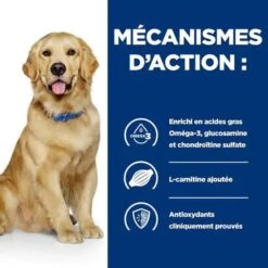 Hill's - Croquettes Prescription Diet J/D Mobility Pour Chiens - 12Kg 13 Hill's - Croquettes Prescription Diet J/D Mobility Pour Chiens - 12Kg -Magasin De Fournitures Pour Chiens 76538