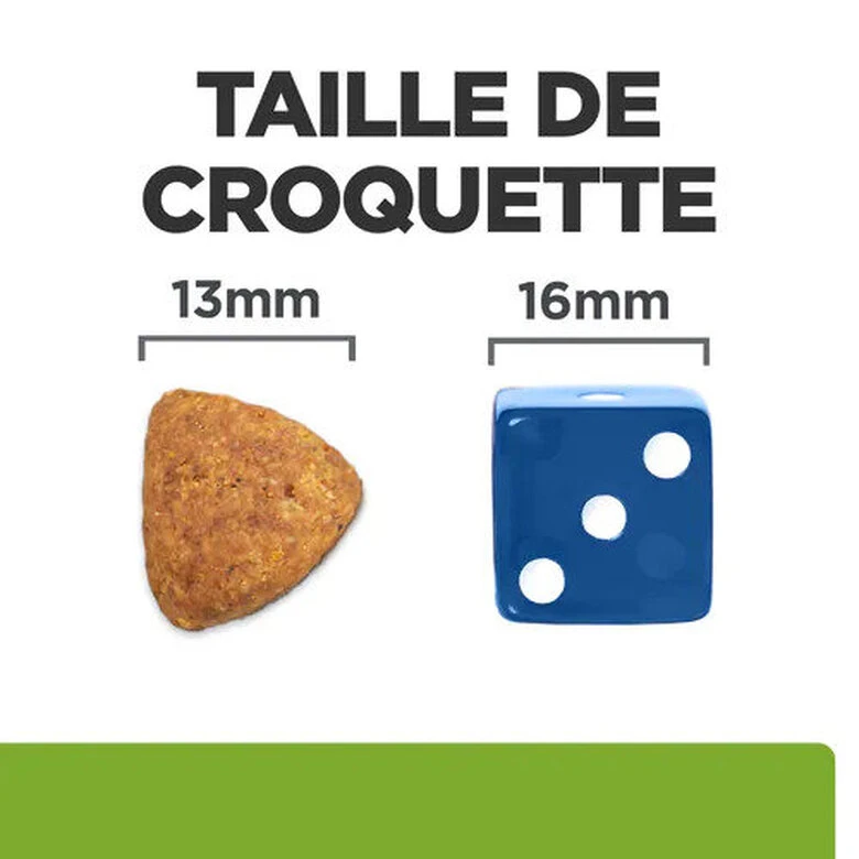 Hill's - Croquettes Prescription Diet J/D Metabolic + Mobility Pour Chiens - 12Kg 4 Hill's - Croquettes Prescription Diet J/D Metabolic + Mobility Pour Chiens - 12Kg – Image 2