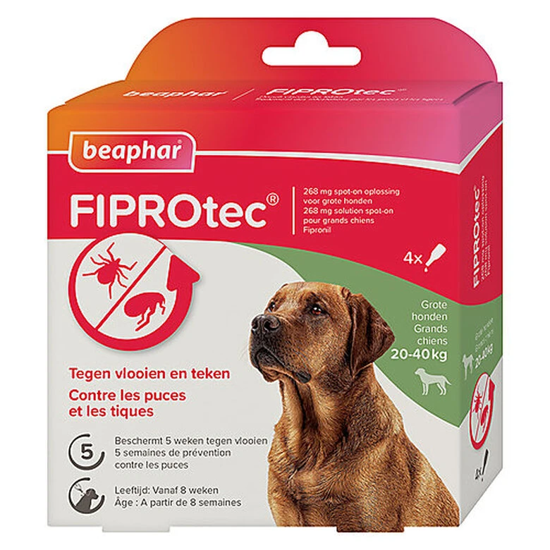 Beaphar - Pipettes Antiparasitaires Fiprotec Pour Grand Chien - X4 3 Beaphar - Pipettes Antiparasitaires Fiprotec Pour Grand Chien - X4
