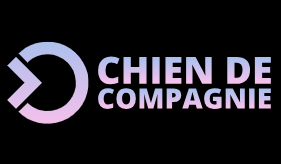 Magasin De Fournitures Pour Chiens